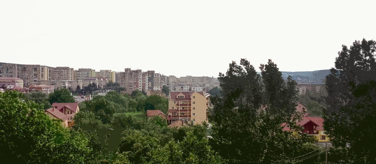 Vila Rosa 2 Ξενοδοχείο Κλουζ-Ναπόκα Εξωτερικό φωτογραφία